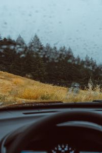 Preview wallpaper car, forest, view, glass, rain