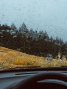 Preview wallpaper car, forest, view, glass, rain