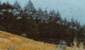 Preview wallpaper car, forest, view, glass, rain