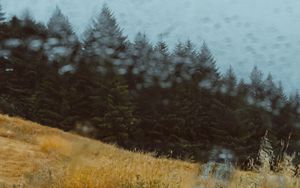 Preview wallpaper car, forest, view, glass, rain