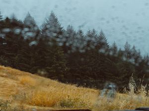 Preview wallpaper car, forest, view, glass, rain