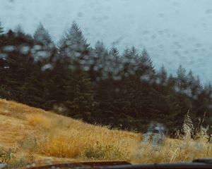 Preview wallpaper car, forest, view, glass, rain