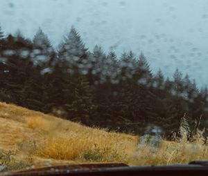 Preview wallpaper car, forest, view, glass, rain