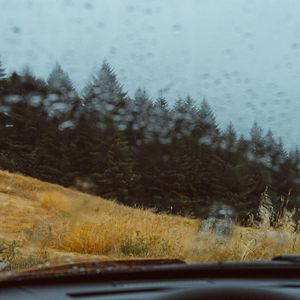 Preview wallpaper car, forest, view, glass, rain