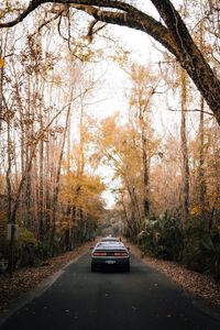 Preview wallpaper car, gray, rear view, road, asphalt