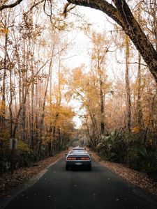 Preview wallpaper car, gray, rear view, road, asphalt