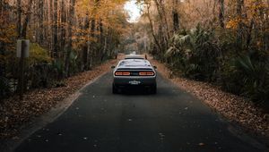 Preview wallpaper car, gray, rear view, road, asphalt