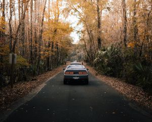 Preview wallpaper car, gray, rear view, road, asphalt