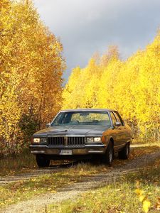 Preview wallpaper car, gray, trees, autumn, yellow