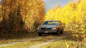 Preview wallpaper car, gray, trees, autumn, yellow