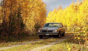 Preview wallpaper car, gray, trees, autumn, yellow
