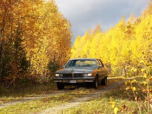 Preview wallpaper car, gray, trees, autumn, yellow