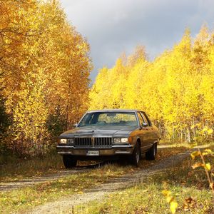 Preview wallpaper car, gray, trees, autumn, yellow
