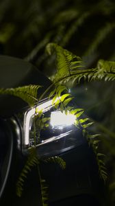 Preview wallpaper car, headlight, fern, light, leaves