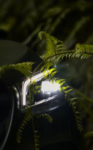 Preview wallpaper car, headlight, fern, light, leaves