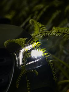 Preview wallpaper car, headlight, fern, light, leaves