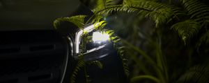 Preview wallpaper car, headlight, fern, light, leaves