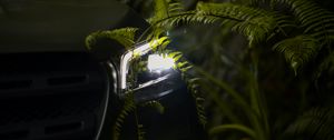 Preview wallpaper car, headlight, fern, light, leaves