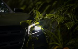Preview wallpaper car, headlight, fern, light, leaves