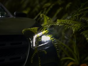 Preview wallpaper car, headlight, fern, light, leaves