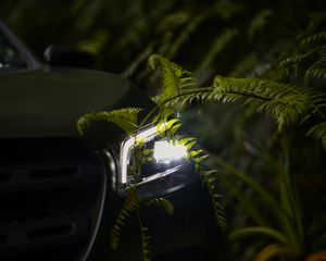 Preview wallpaper car, headlight, fern, light, leaves