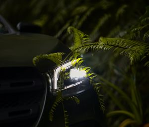 Preview wallpaper car, headlight, fern, light, leaves