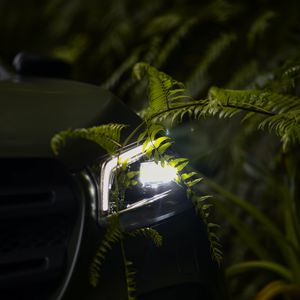 Preview wallpaper car, headlight, fern, light, leaves