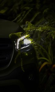 Preview wallpaper car, headlight, fern, light, night