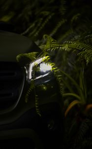 Preview wallpaper car, headlight, fern, light, night