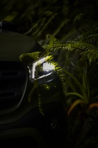 Preview wallpaper car, headlight, fern, light, night