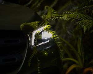 Preview wallpaper car, headlight, fern, light, night