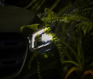 Preview wallpaper car, headlight, fern, light, night