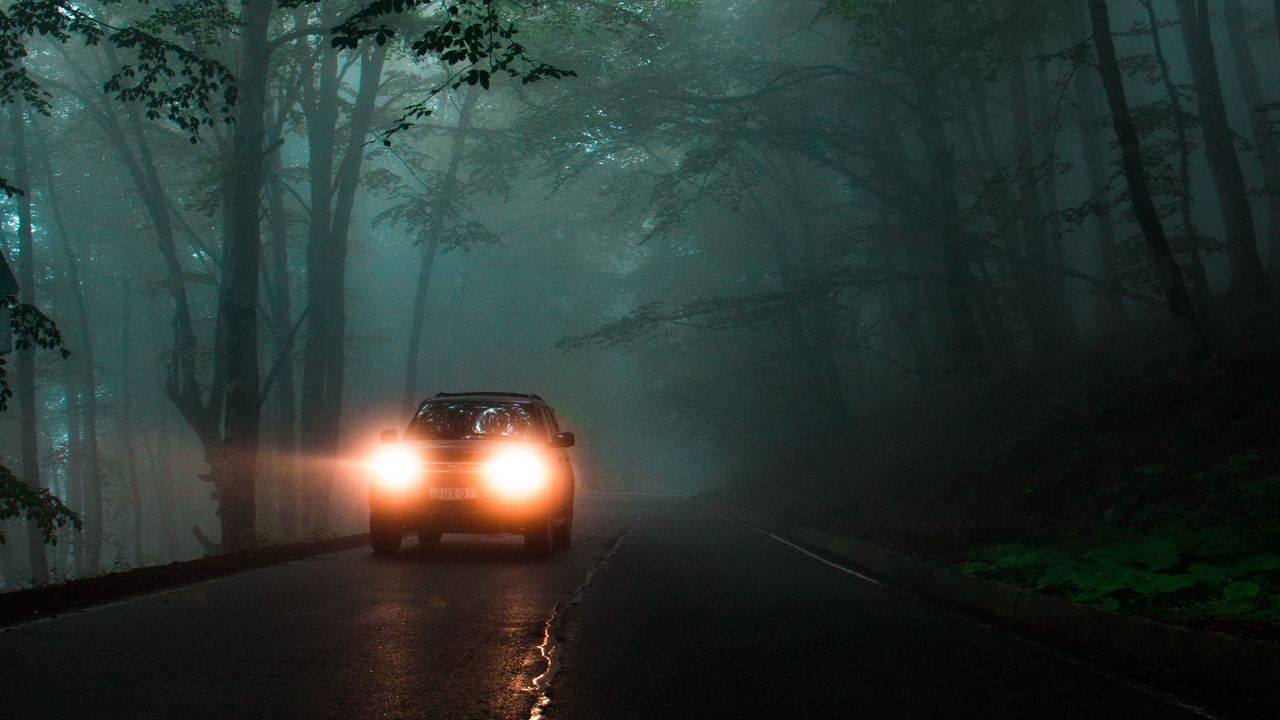 Wallpaper car, headlights, fog, lights, trees, road