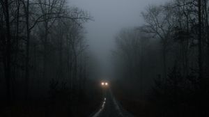 Preview wallpaper car, lights, fog, trees, road