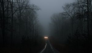 Preview wallpaper car, lights, fog, trees, road