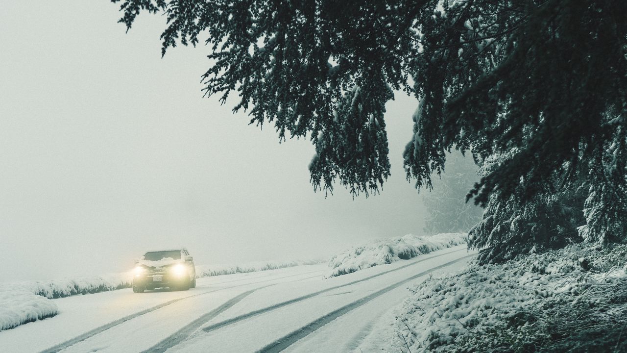Wallpaper car, lights, snow, fog, branches, winter