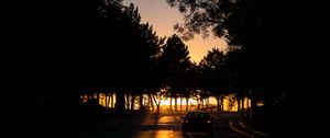 Preview wallpaper car, night, road, trees, shadow