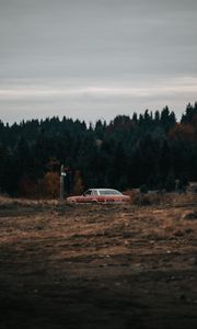 Preview wallpaper car, old, field, forest, nature