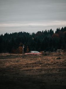 Preview wallpaper car, old, field, forest, nature