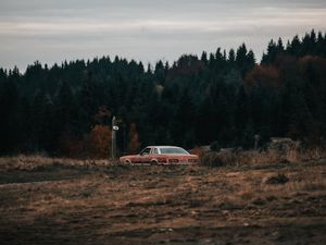 Preview wallpaper car, old, field, forest, nature