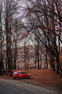 Preview wallpaper car, red, nature, autumn