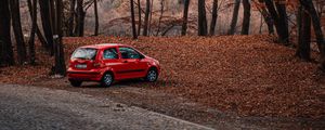 Preview wallpaper car, red, nature, autumn