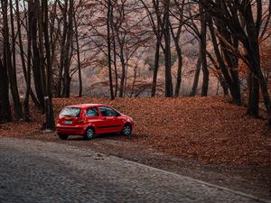 Preview wallpaper car, red, nature, autumn