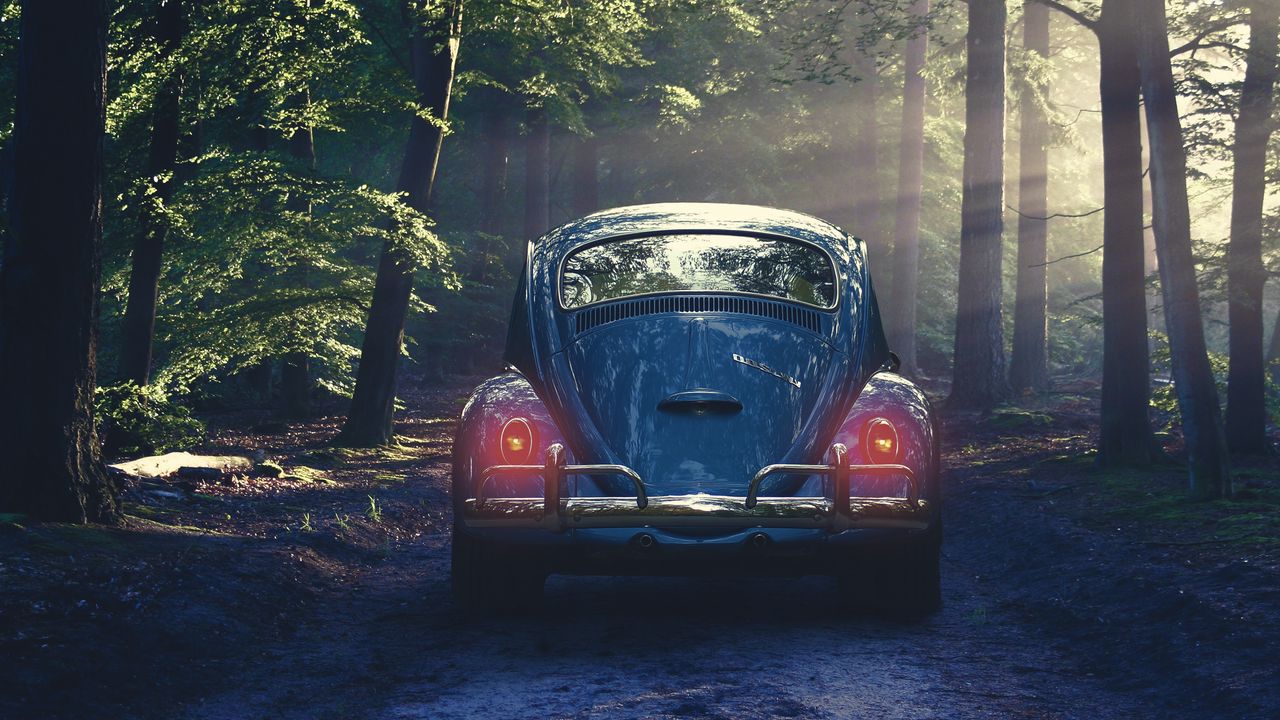 Wallpaper car, retro, forest, fog