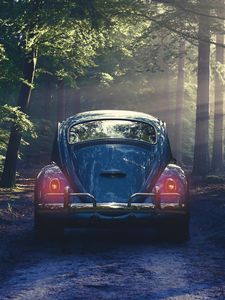 Preview wallpaper car, retro, forest, fog