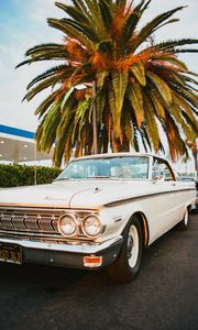 Preview wallpaper car, retro, old, white, palm tree