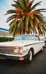 Preview wallpaper car, retro, old, white, palm tree