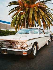 Preview wallpaper car, retro, old, white, palm tree