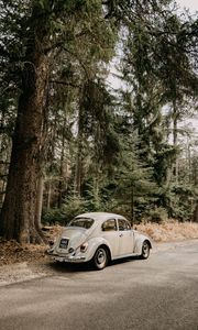 Preview wallpaper car, retro, vintage, forest