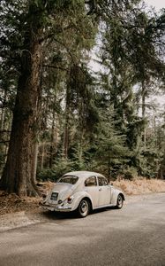 Preview wallpaper car, retro, vintage, forest
